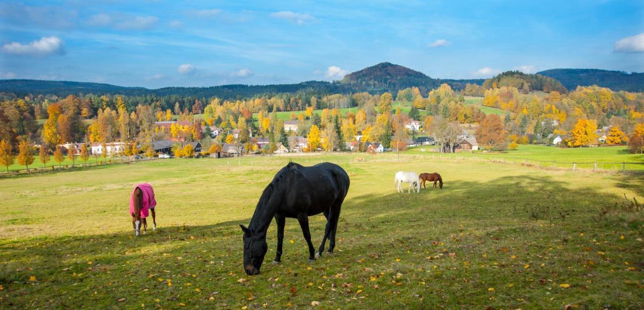 Penzion Na Stodolci Chřibská Exterior foto